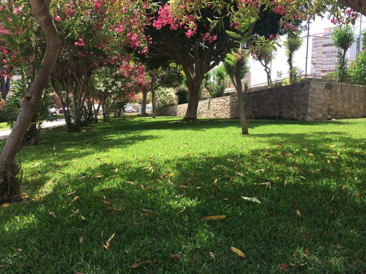 阿利坎特Club Del Mar L25公寓 外观 照片